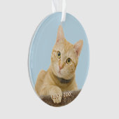Aangepaste Ginger Cat foto kerstboom Ornament (voorkant)