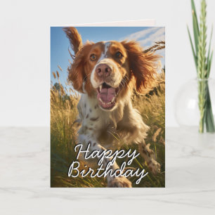 Aangepaste Gordon Setter Happy Birthday Kaart