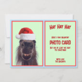Aangepaste Grappige Paard Pun Verplichte Foto Feestdagenkaart (Voorkant)