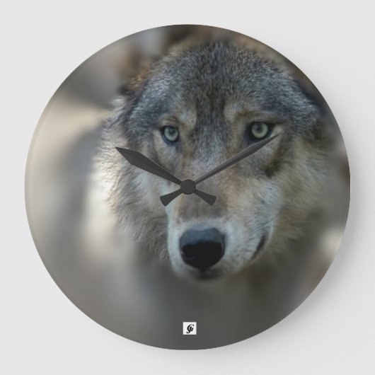 Aangepaste grote ronde wandkast grote klok (Voorkant)