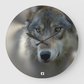 Aangepaste grote ronde wandkast klok