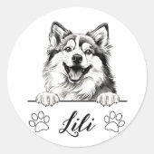 Aangepaste handtekening Pomsky-hond Ronde Sticker (Voorkant)