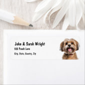 Aangepaste Havanese hond adreslabel Etiket (Insitu)