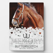 Aangepaste herdenking huisdier paard foto fotoplaat (voorkant)