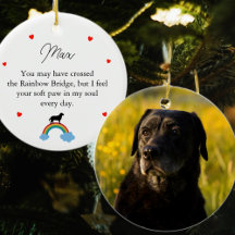 Aangepaste herdenking voor Labrador hond