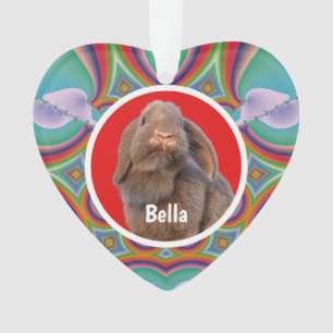Aangepaste Holland Lop Konijn Foto Naam Regenboog Ornament