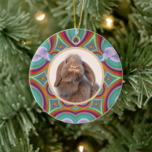 Aangepaste Holland Lop Konijn Foto Regenboog Kunst Keramisch Ornament