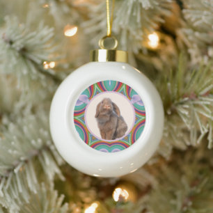 Aangepaste Holland Lop Konijn Foto Regenboog Kunst Keramische Bal Ornament