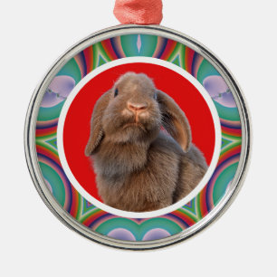 Aangepaste Holland Lop Konijn Foto Regenboog Kunst Metalen Ornament