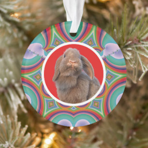 Aangepaste Holland Lop Konijn Foto Regenboog Kunst Ornament