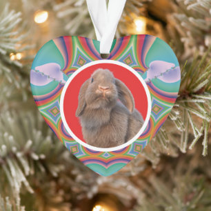 Aangepaste Holland Lop Konijn Foto Regenboog Kunst Ornament