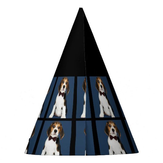 Aangepaste hond Foto 7e verjaardagsfeestje Pet Feesthoedjes (Achterkant)