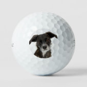 Aangepaste hond foto Moderne gepersonaliseerde gol Golfballen (Voorkant)