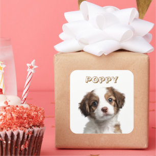 Aangepaste Hond Foto & Naam Sticker