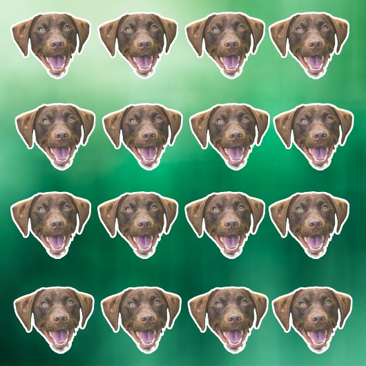 Aangepaste Hond Gezicht Sticker, Hondenliefhebber Sticker