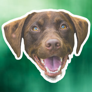 Aangepaste Hond Gezicht Sticker, Hondenliefhebber Sticker