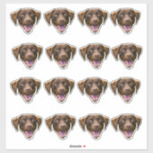Aangepaste Hond Gezicht Sticker, Hondenliefhebber Sticker (Vel)