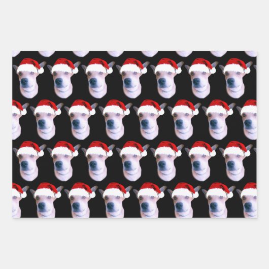 Aangepaste hond met kerstmis inpakpapier vel (Voorkant 2)