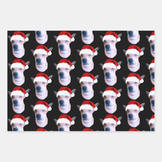 Aangepaste hond met kerstmis inpakpapier vel (Voorkant)