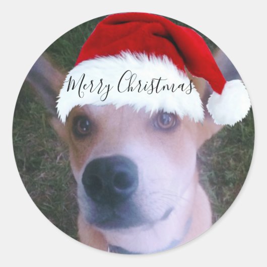Aangepaste hond met kerstmis ronde sticker (Voorkant)