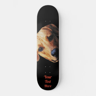 Aangepaste hond op skateboard