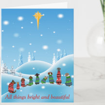 Aangepaste Honden In Truien Ster Alle Dingen Diere