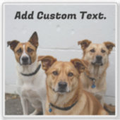 Aangepaste hondenfoto en tekst toevoegen voor Pet Sticker (Voorkant)