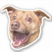 Aangepaste hondengezicht Stickers | Dog Mom Gift (Voorkant)