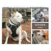 Aangepaste hondenherinneringen maken kalender (Hoes)
