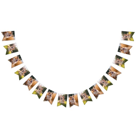 Aangepaste huisdier foto vlaggetjes (Alle)