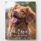 Aangepaste huisdier-herdenking condoleance huisdie fotoplaat (Voorkant)