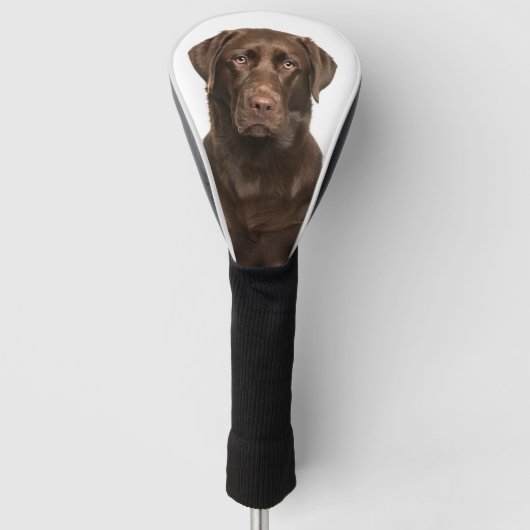 Aangepaste Huisdier Hond Foto Chocolade Labrador Golfheadcover (Voorkant)