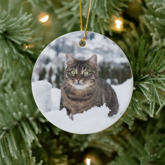 Aangepaste Huisdier Kat 2 Foto Kerstmis Keramisch Ornament (Boom)