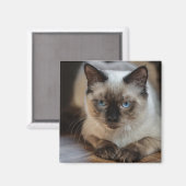 Aangepaste huisdier kat foto gepersonaliseerd magneet (Voorkant / Achterkant)