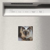 Aangepaste huisdier kat foto gepersonaliseerd magneet (Insitu (Vaatwasser))