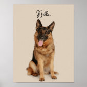 Aangepaste Huisdier Naam & Foto Poster | Moderne k (Voorkant)