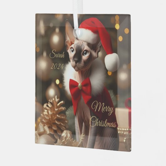 Aangepaste Huisdier Naam Foto Sphynx Kat Kerstmis Glas Ornament (Voorkant links)