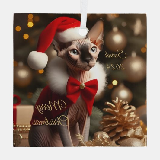 Aangepaste Huisdier Naam Foto Sphynx Kat Kerstmis Glas Ornament (Achterkant)