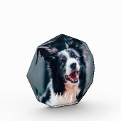 Aangepaste huisdierenfoto | Maak je eigen fotoblok (Links)