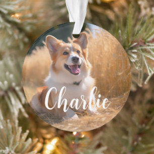 Aangepaste huisdierfoto met naam ornament