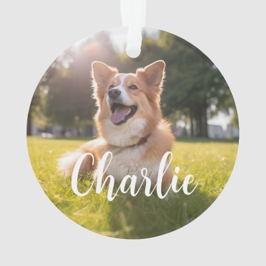 Aangepaste huisdierfoto met naam ornament (achterkant)