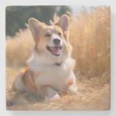 Aangepaste huisdierfoto stenen onderzetter (Voorkant)