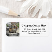 Aangepaste info + Cute Chipmunk, zoals ritter op e Etiket (Insitu)