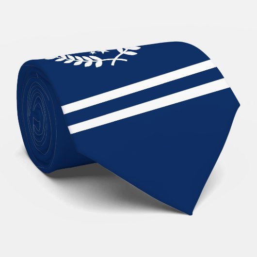 Aangepaste Initialen Hockey Player/Fan All Star Na Stropdas (Opgerold)