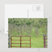 Aangepaste Into the Pines-ansichtkaart Briefkaart (Voorkant / Achterkant)