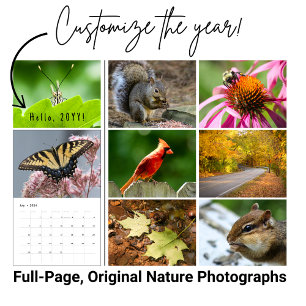 Aangepaste Jaar Achtertuin Wilde Natuur Fotografie Kalender