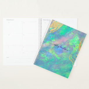 Aangepaste jaarplank voor blauwe, optische goudmar planner