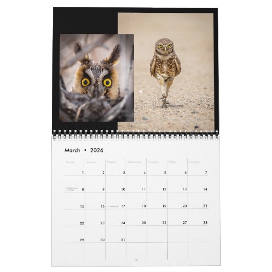 Aangepaste kalender voor Owl (Mar 2026)