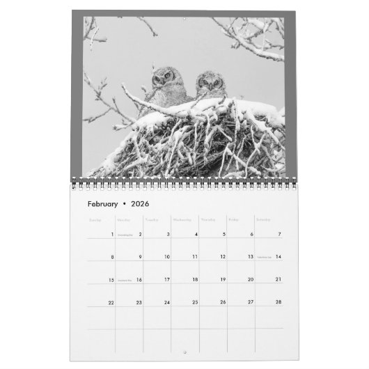 Aangepaste kalender voor Owl (Feb 2026)