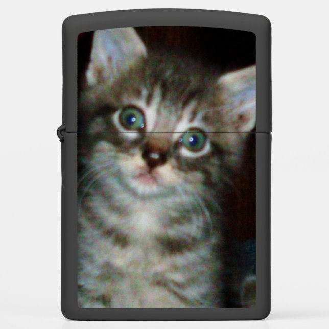AANGEPASTE KAT (Voorkant)
